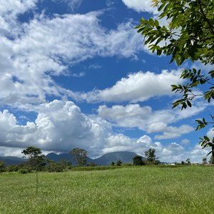 Meet your Posher, Tal